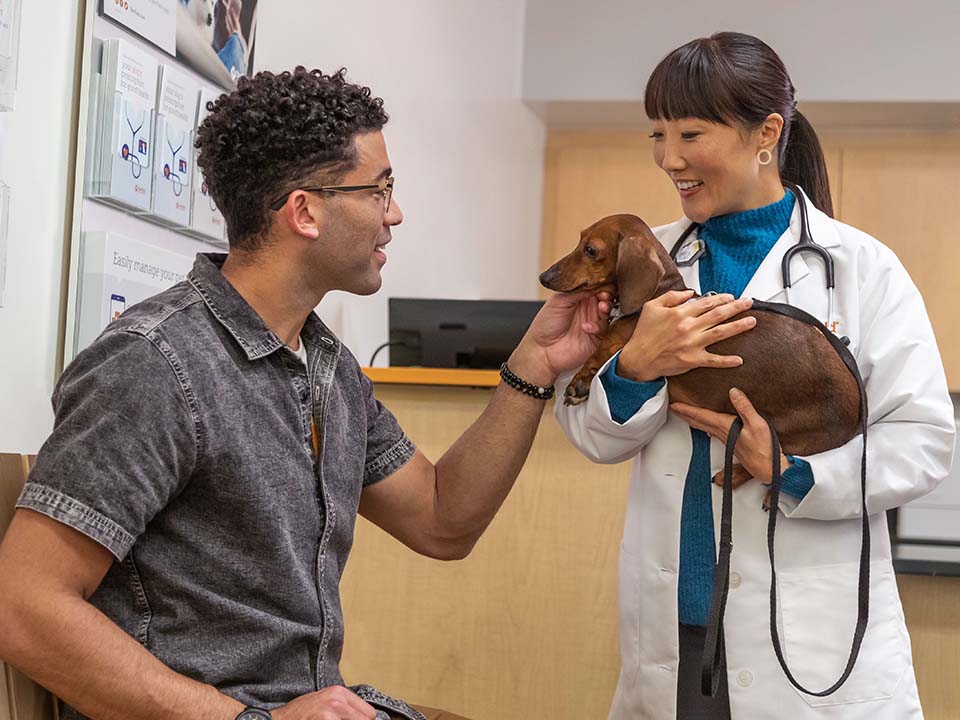 smiling-vet-holds-dachshund-dog-as-owner-pets-dog-face